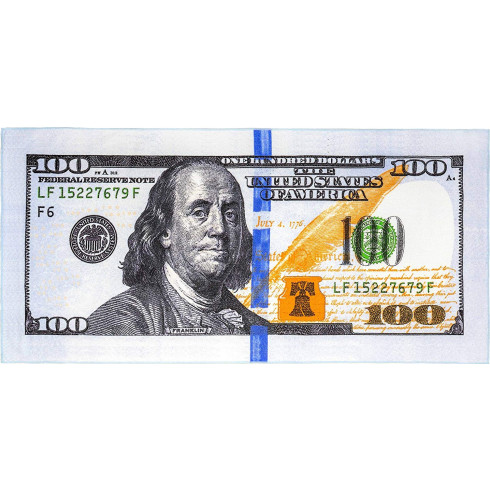 Osuška nová 100 dolárová bankovka 70x148cm, PoloTrade