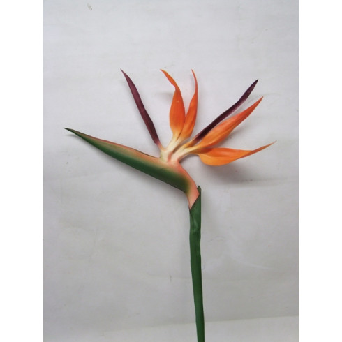 Kvet exotický 1meter